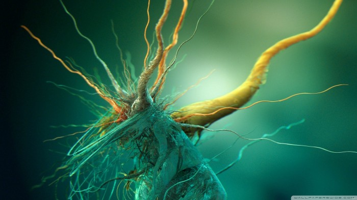 growth of cubic bacteria.jpg (390 KB)